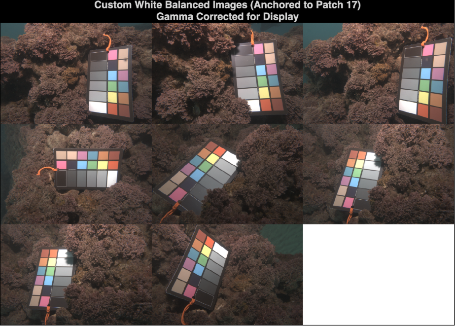Figure 5: Visual Inspection of corresponding images from Fig 4